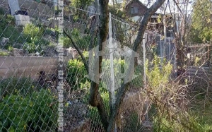 Забор из сетки рабицы с арматурой 58 метра